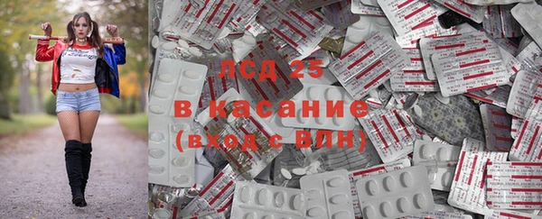 ПСИЛОЦИБИНОВЫЕ ГРИБЫ Беломорск