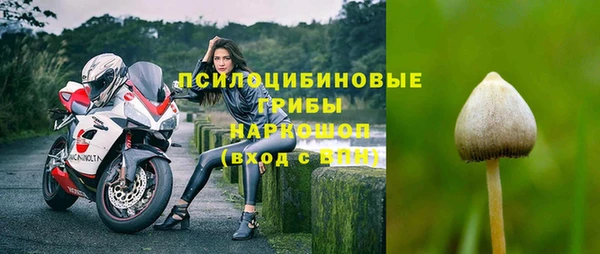 ПСИЛОЦИБИНОВЫЕ ГРИБЫ Беломорск